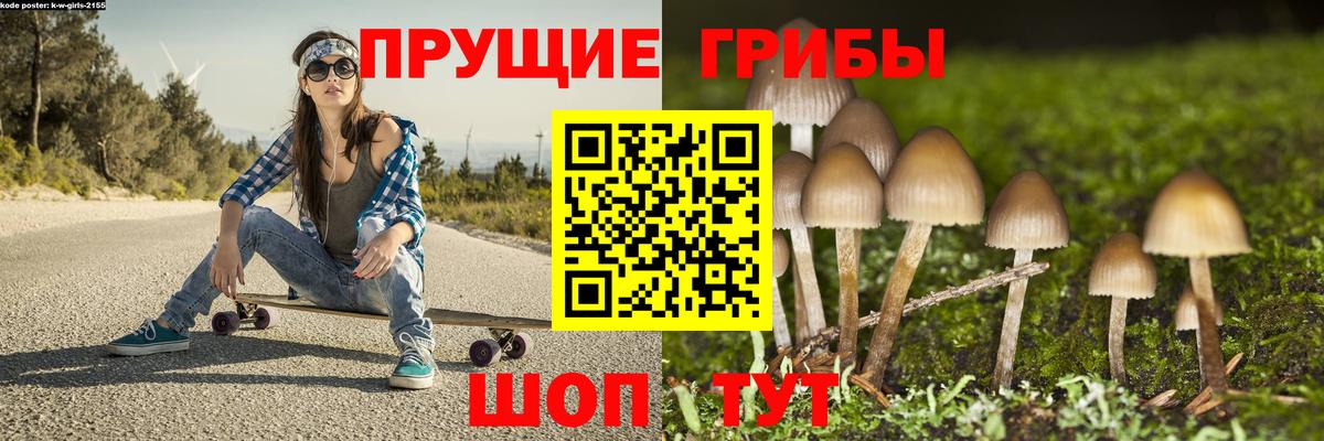 Киселёвск  Галлюциногенные грибы мицелий  дарнет шоп  Галлюциногенные грибы MAGIC MUSHROOMS  Вход с VPN 